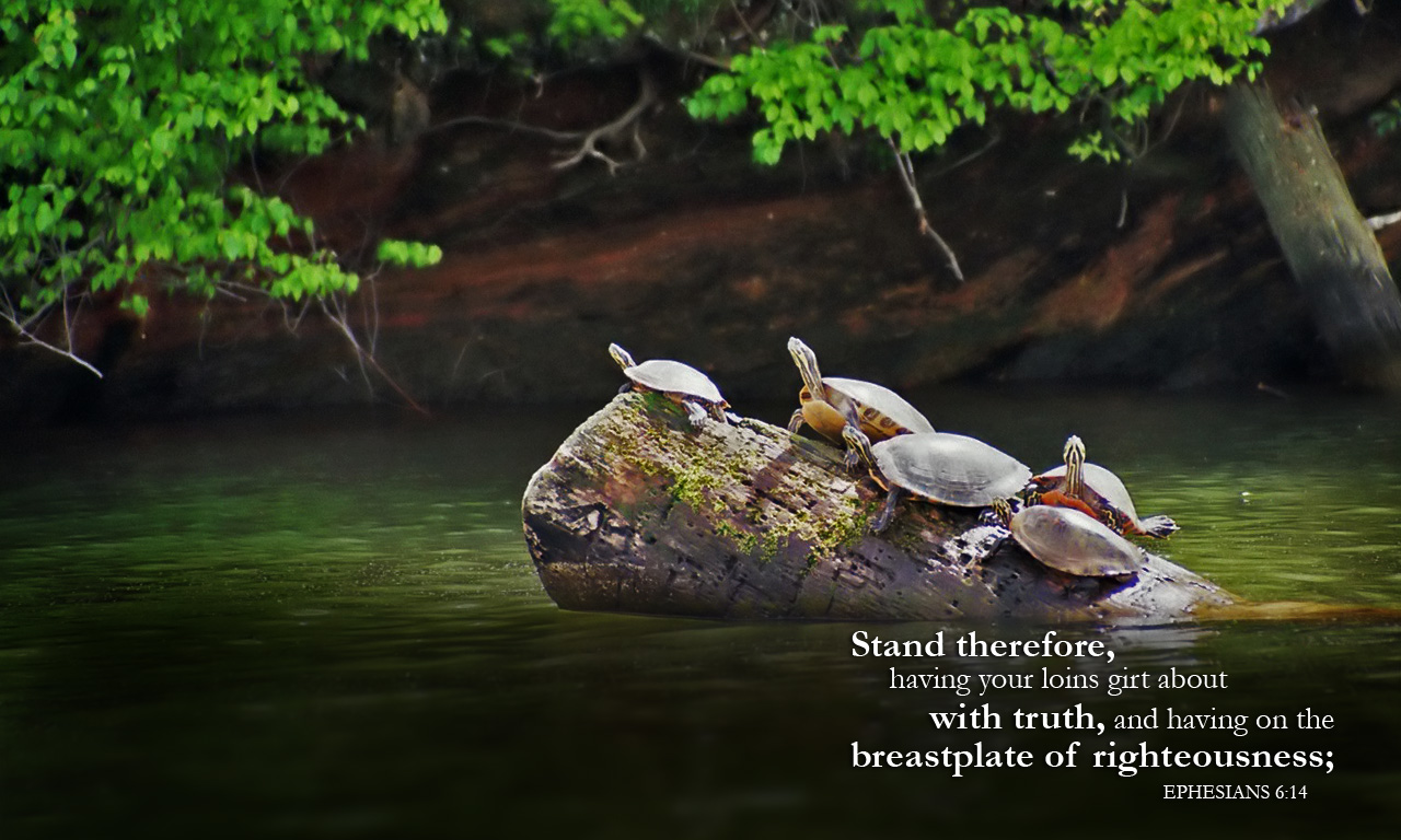 How is your standing in Christ?